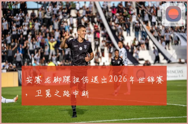 安赛龙脚踝扭伤退出2026年世锦赛，卫冕之路中断